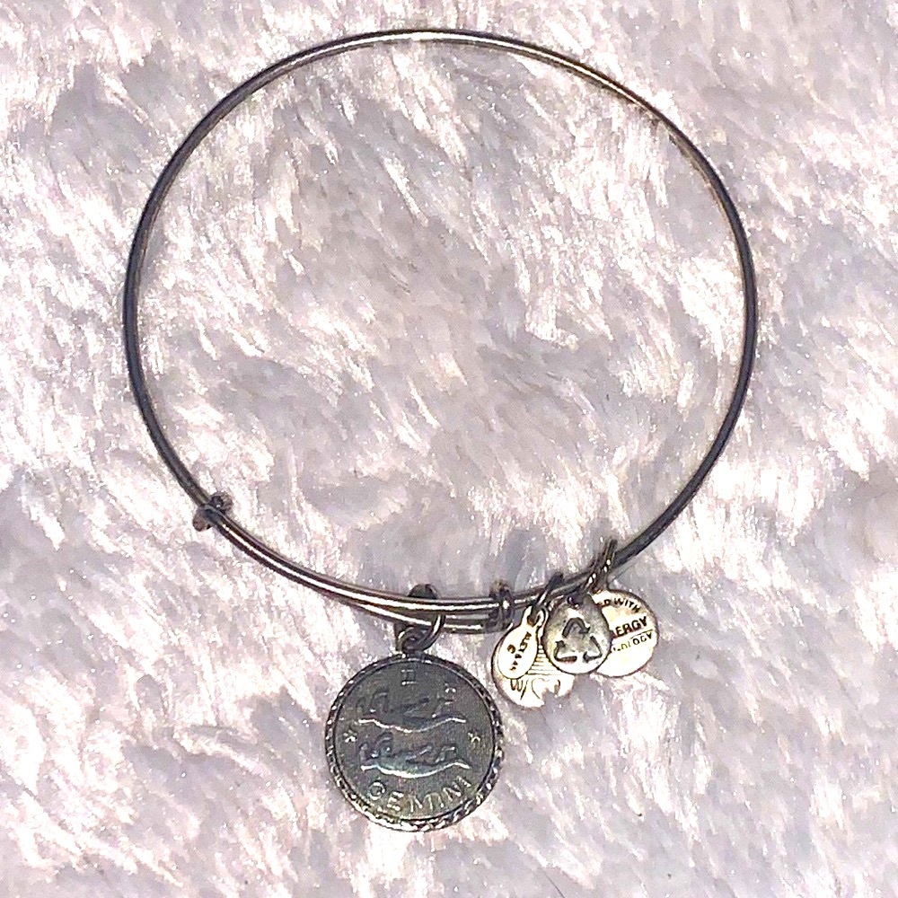 Alex and Ani Silver Gemini Charm Bracelet